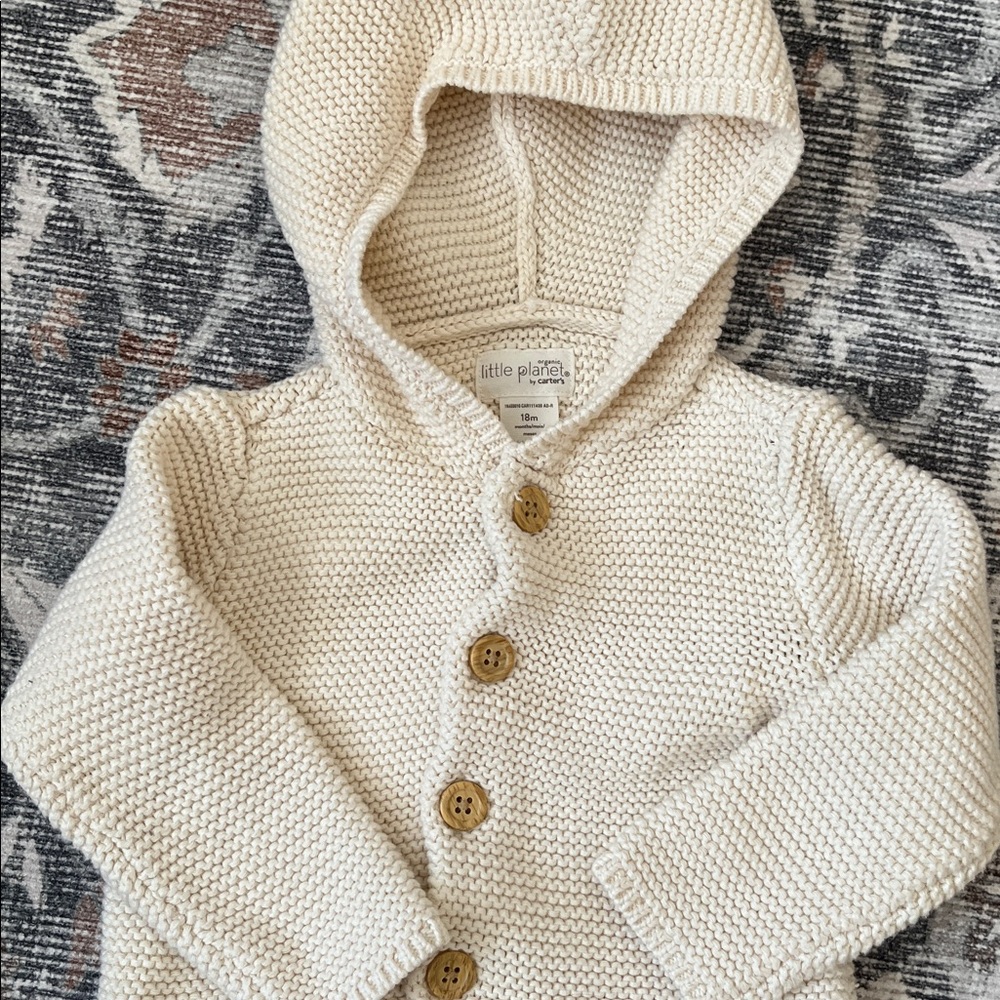 Girls 12-18 Month H&M/Carters Fall/Winter Set - Picture 13 of 15